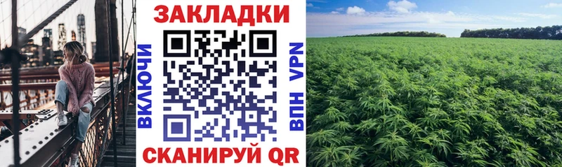 Сколько стоит Горняк Codein  Мефедрон  Канабис  Alpha-PVP 