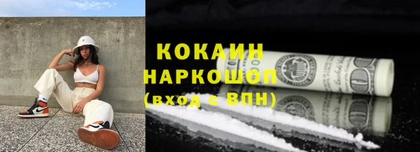 скорость Каменка