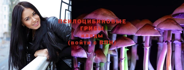 первитин Каменногорск