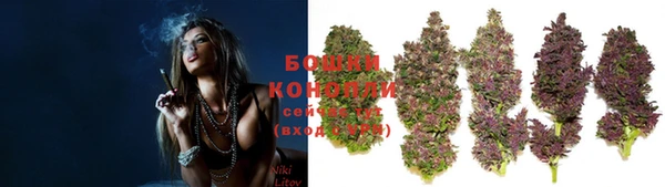 скорость Каменка