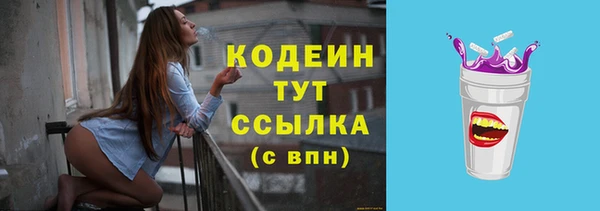 скорость Каменка