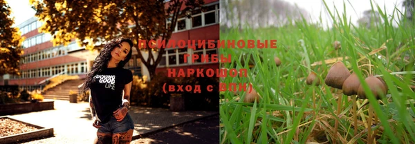 первитин Каменногорск