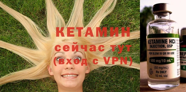 скорость Каменка